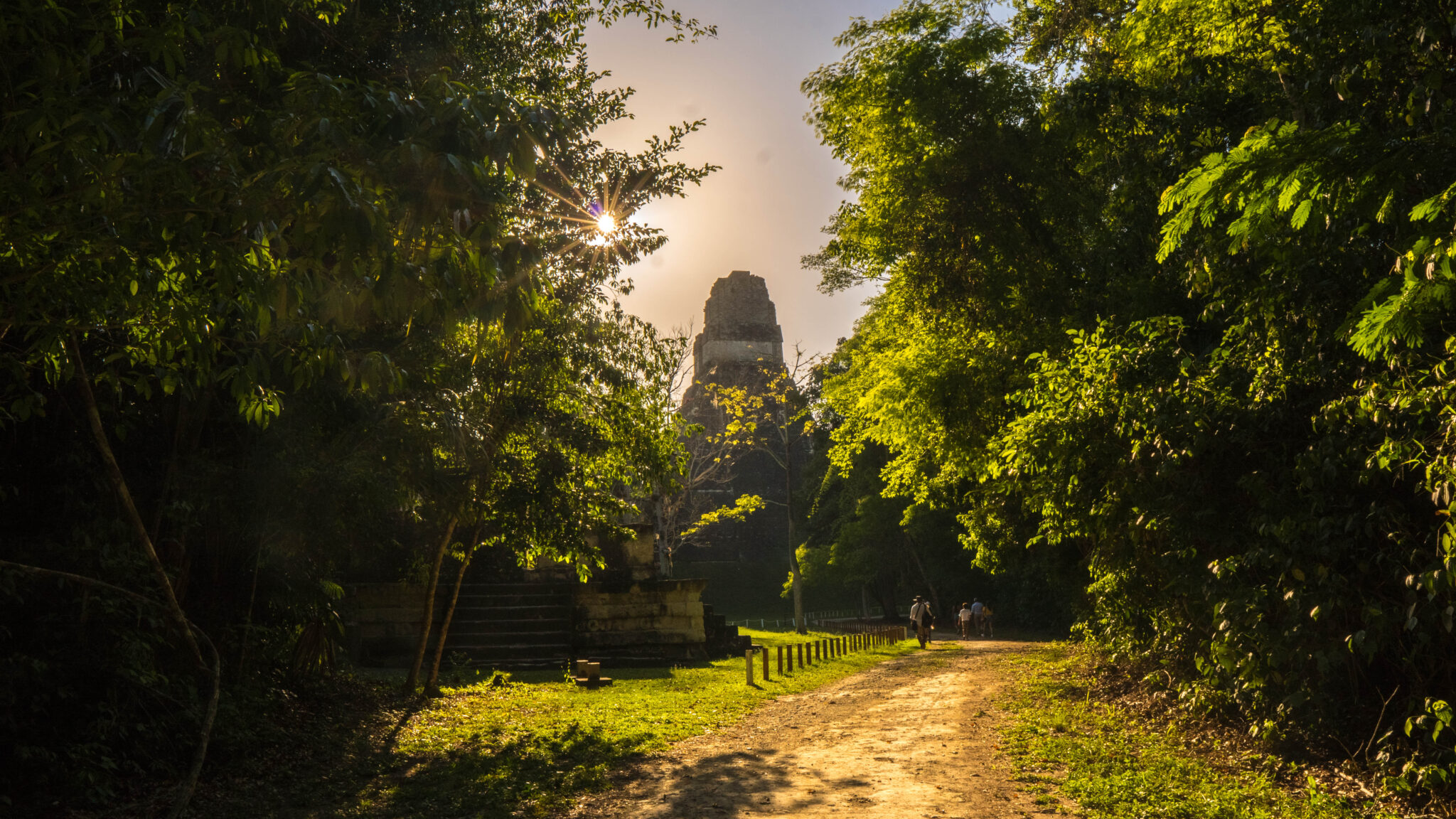 Templo de Tikal rodeado por la selva maya